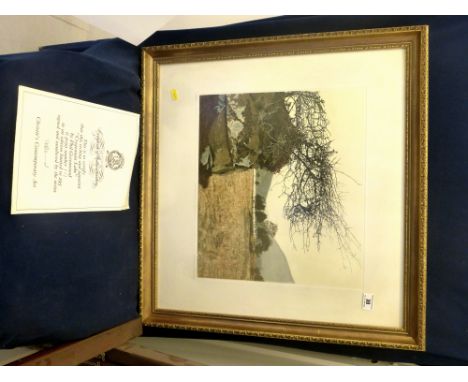 'CREGENNAN LAKE' BY PHIL GREENWOOD  ETCHING/AQUATINT LIMITED EDITION 107/295 SIGNED AND NUMBERED BY THE ARTIST APPROX 14" X 1