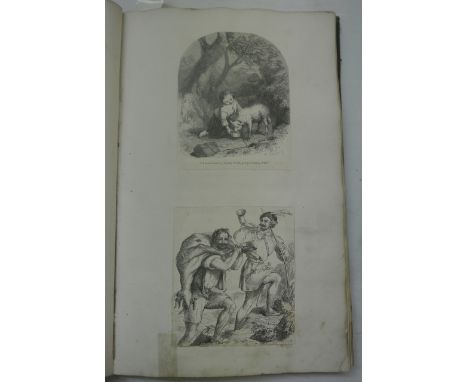 Two 19th century scrap albums filled with a comprehensive collection of scraps including ornithological subjects, dogs, natur