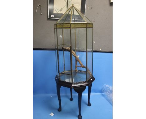 A VINTAGE BRASS FRAMED TERRARIUM OR FITTED WOODEN STAND