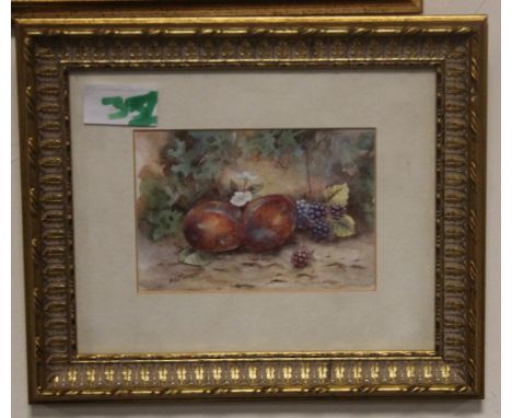 A SMALL WATERCOLOUR OF FRUIT SIGNED M E MORRIS 24.5 CM 20.5 CM