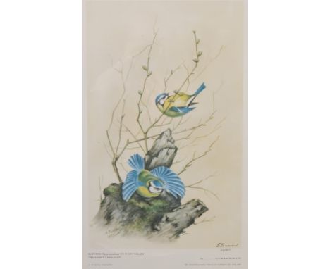 A set of nine Royal Worcester limited edition prints, all bird subjects after Townsend, 20ins x 14.5ins Condition report: in 