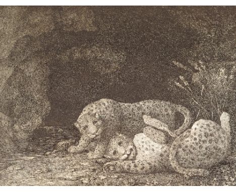 After George Stubbs, lithograph, Leopards at Play, number 24 of 60, 15ins x 19ins