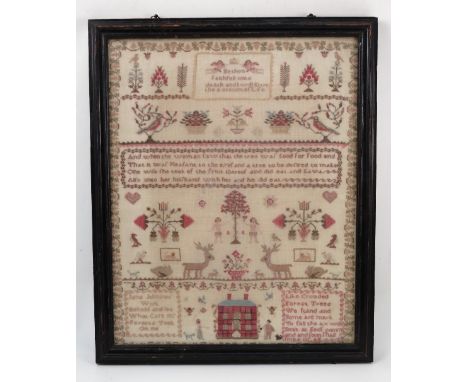 A 19th century tapestry sampler, decorated with verses, birds, flowers, animals and Adam and Eve, by Jane Johnson, 20ins x 16