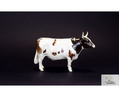 Beswick - Early Farm Animal Figure ' Ayrshire Bull ' CH ( Whitehill Mandate ) Model No 1454B. Designer Colin Melbourne. Heigh