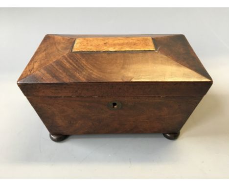 A mahogany sarcophagus tea caddy.