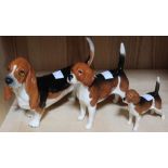 Three Beswick models of a Basset and two Beagles