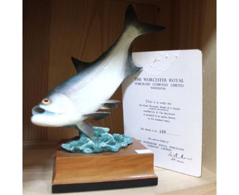 Royal Worcester limited edition ceramic Fish (Tarpon), modelled by R Van Ruyckevelt, 169/500, on wooden base with certificate