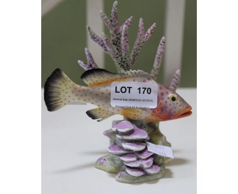A Royal Worcester Fish "RED HIND", No. 3572, modelled by R. Van Ruyckevelt, 14cm