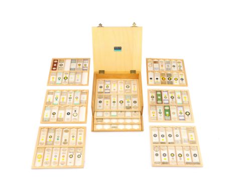 A Collection of Fine Diatoms, Comprising of several microscope slides with groups of forms up to 110 by Thumb, Baker, Flatter