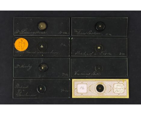 A Collection of microscope slides of microphotographs by William Mogine comprising of a slide diamond engraved ‘Great Eastern