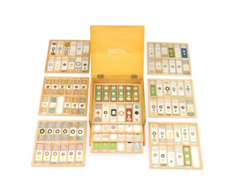 A Good Selection of Diatom Microscope Slides, a good selection of professionally prepared slides with a few good amateur slid