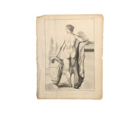 Albinus, Bernhard Siegfried, engravings of the Bones, Muscles, Vascular systems, brain and nervous system plates only, 38 eng
