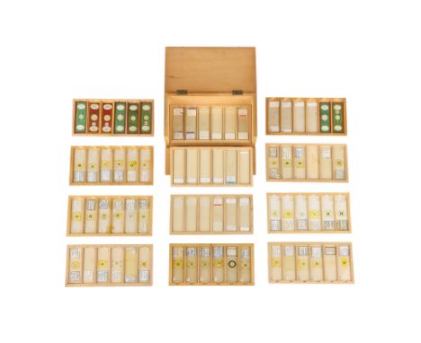 A Good Collection of Microscope Diatom Slides in 2 Cases, comprising mainly of single diatoms very well labeled and in very g