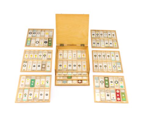 A Good Collection of Microscope Diatom Slides, a good selection of professionally prepared slides with a few good amateur sli