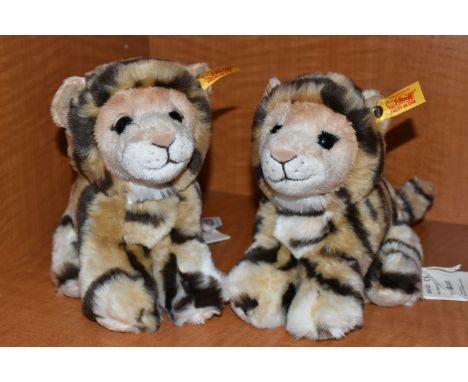 TWO STEIFF 'BEST FOR KIDS - BILLY TIGER CUB', no.084102, acrylic, height 20cm, with tags and labels attached (2) (Condition R