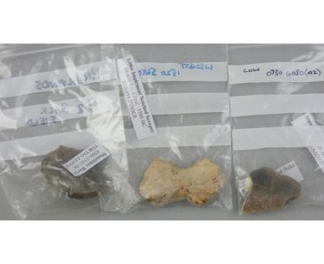A large number of Mesolithic and Neolithic knapped flint hand tools, to include scrappers, blades and shards together with as