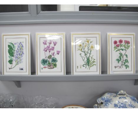 Royal Worcester 'Botanical Studies', porcelain wall plaques, 26 x 17.5cm. (4)