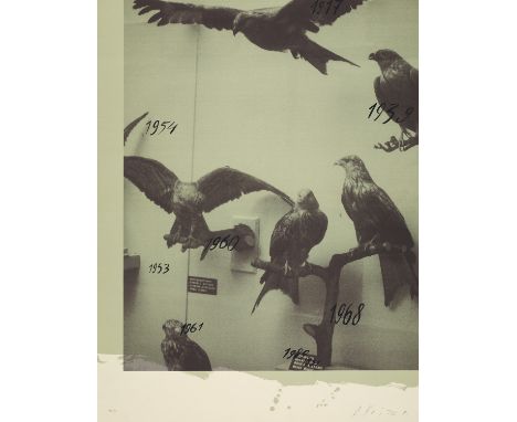 Andrei Roiter (1960 Moskau)Hawks. (1992). Serigraphie in Farbe auf leichtem Velinkarton. 74 x 58 cm (76 x 58 cm). Signiert un