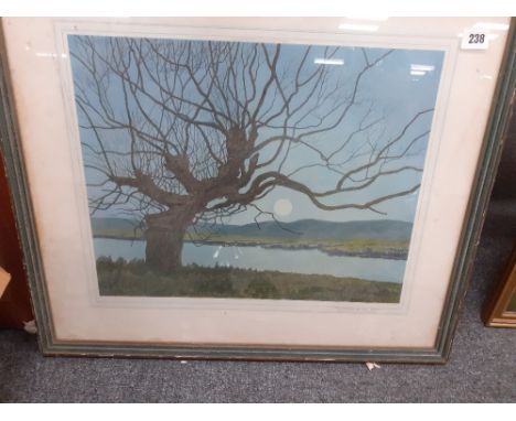 IRISH FRAMED PRINT ' RISING OF THE MOON' 19X14