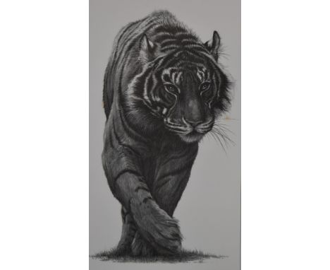 Gary Hodges (b1954) signed limited edition print of a tiger&nbsp;Stealth (201/250), 43 x 25cm