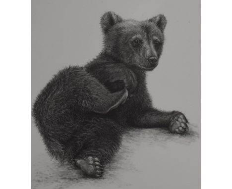 Gary Hodges (b1954) signed limited edition print, Brown Bear Cub (355/850) 21 x 18cm