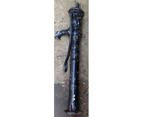 Cast iron trough pump.