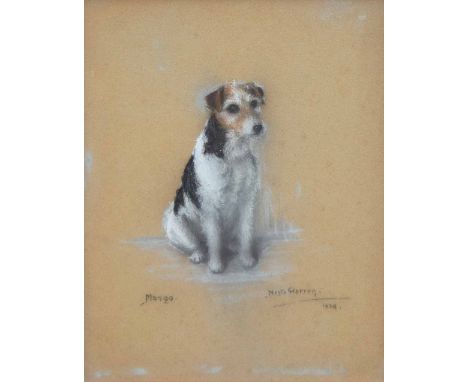 Nesta Warren, 20th century,   Portrait study of a Jack Russell Terrier, signed and dated 1938, titled Mango, pastel, 34.5 x 2