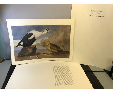 Portfolio of Large print plates based on the works of original drawns from nature by J. J. Audubon. Prints of various birds, 