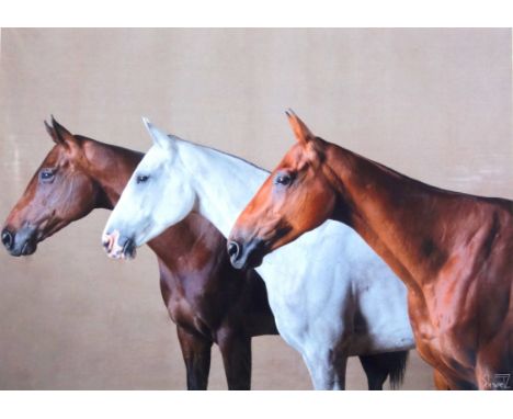 Christian Schwetz (1967-2022), Studies of horses, photographic print on paper, signed, largest 39.5 x 54.5cm, (mounted, unfra