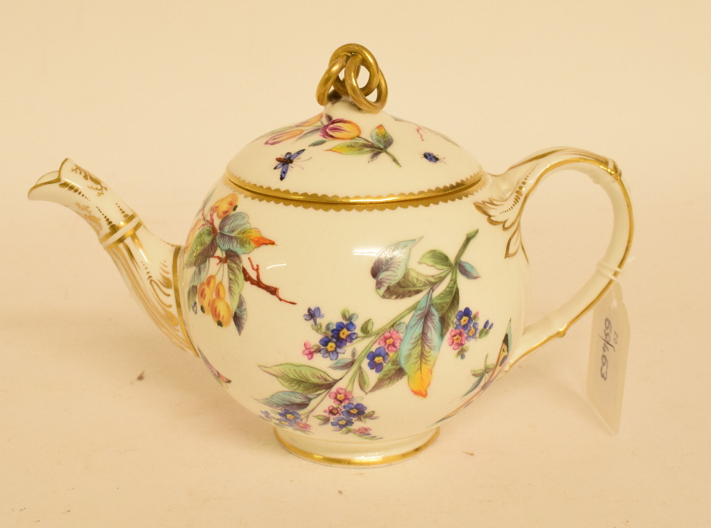 A 19th century English porcelain teapot and cover, decorated insects