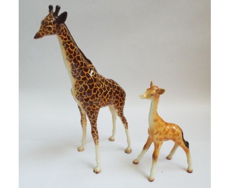 Large Beswick model of a giraffe, 31 cm's high, and a baby giraffe  No obvious sign of restoration or damage but mother giraf
