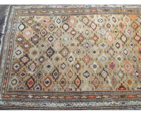 A patterned Shirvan rug (approx 9' x 4')