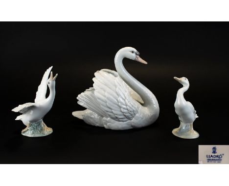 Lladro - Large Porcelain Swan Figurine ' Swan with Wings Spread ' Model No 5231. Issued 1984 - Retired. Height 7 Inches. 1st 
