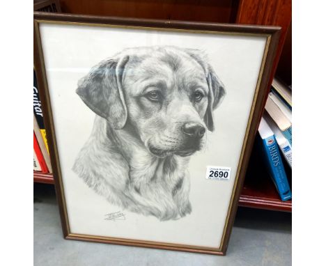 A black and white print of a Labrador dog Collect Only 