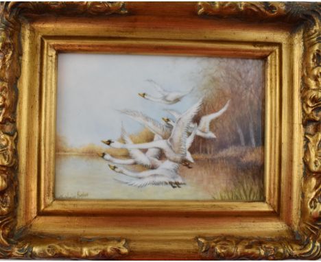 Christopher Hughes (former Royal Worcester artist) hand painted rectangular plaque of 'Flying Swans II' , in gilt frame, 11.5