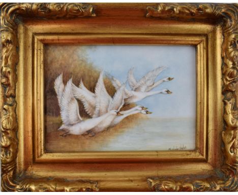 Christopher Hughes (former Royal Worcester artist) hand painted rectangular plaque of 'Flying Swans 1' , in gilt frame, 11.5c