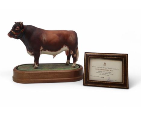 DORIS LINDNER FOR ROYAL WORCESTER - DAIRY SHORTHORN BULL limited edition no. 428/500, printed marks, on oval base, 26cm long,