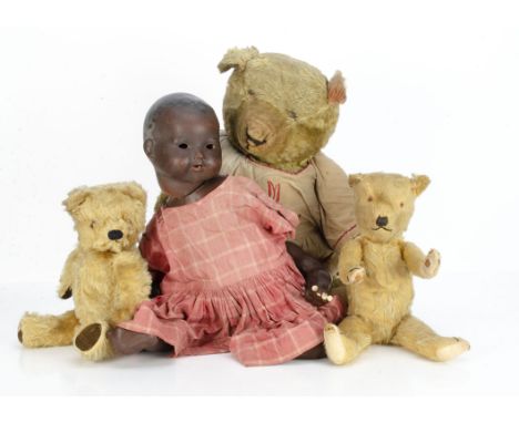 A 1920s British teddy bear,  with golden mohair, pronounced clipped muzzle, remains of black stitched nose, mouth and claws, 