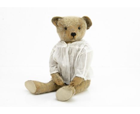 'Colonel Snout' a Strunz teddy  bear circa 1910,  with blonde mohair, black boot button eyes, pronounced muzzle, restitched b