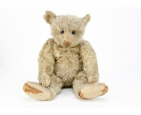 A rare Steiff white mohair centre-seam teddy bear circa 1908, with black boot button eyes, pronounced clipped muzzle, brown s