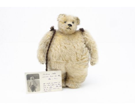 A rare Strunz  teddy bear muff with provenance circa 1912,  with blonde mohair, black boot button eyes, pronounced clipped mu