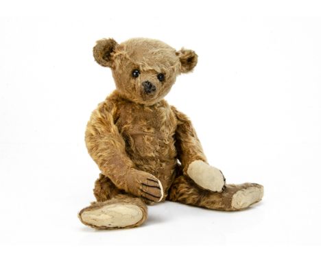 A Steiff cinnamon mohair teddy bear circa 1908, with black boot button eyes, pronounced clipped muzzle, black stitched nose, 