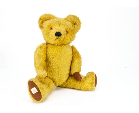 A post-war Chad Valley teddy bear, with bright golden mohair/mixed plush, orange and black plastic eyes, black stitched nose 