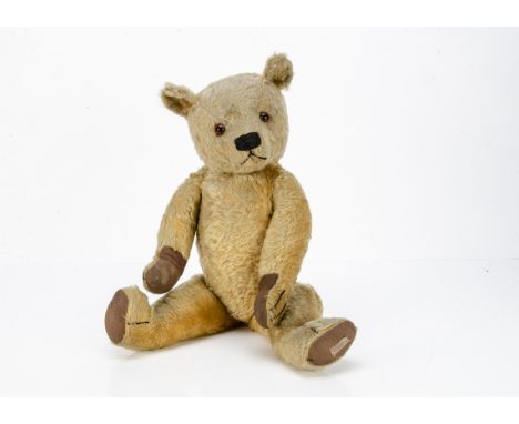 A Chad Valley Magna type teddy bear 1930s,   with golden mohair, orange and black glass eyes, pronounced muzzle, black stitch