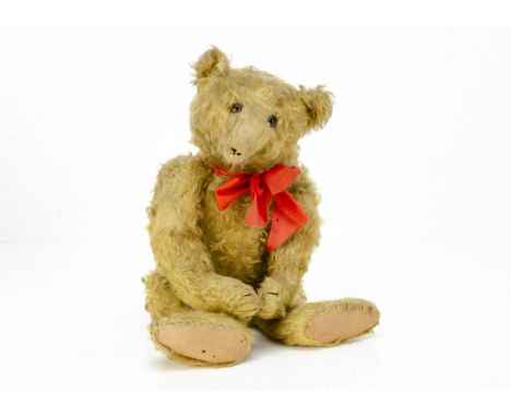 A 1920s Steiff teddy bear,  with bright golden mohair, clear and black glass eyes with brown backs, pronounced clipped muzzle