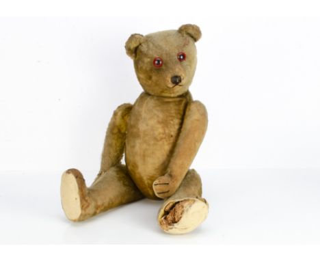 A large German teddy bear 1930s,  with golden mohair, replaced eyes, pronounced muzzle, black stitched nose, mouth and claws,