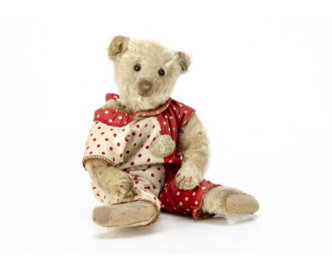 A Steiff white mohair teddy bear circa 1907, with black boot button eyes, pronounced clipped muzzle, brown stitched nose, mou