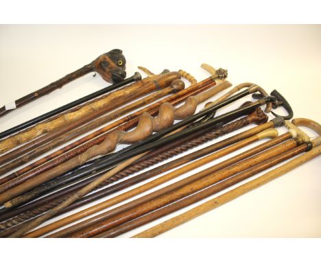 COLLECTION OF WALKING STICKS including one with a handle in the form of a Dog, and with a variety of other sticks including w