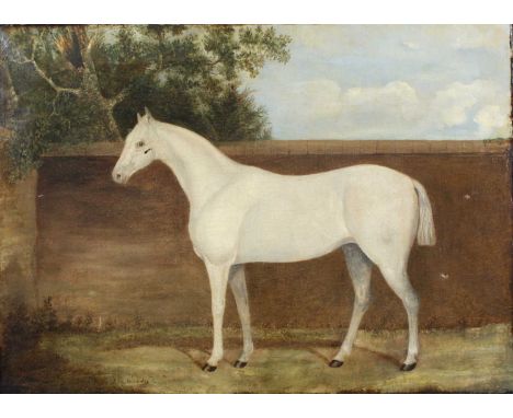 Mid 19th century English school - The white horse, oil on canvas, 40 x 55cm (a/f)Small tear to canvas on horse’s head, approx