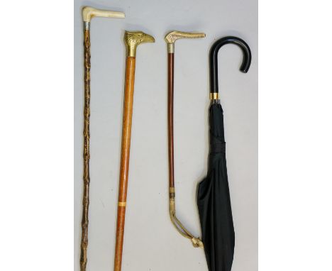 A hunting whip, cross hatched antler handle, white metal collar, long braided leather tongue;  a walking stick with brass par